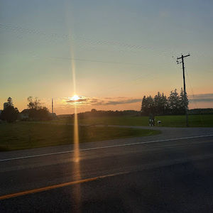 Meet your Posher, Aline